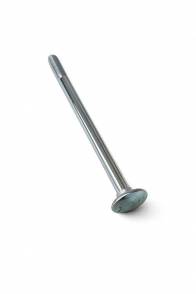 Śruba zamkowa 6x100 ocynk tw.8,8 DIN603 - 1kg